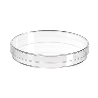Чашка Петри стеклянная, Stegler, 90 мм 00010038336 - фото 8237